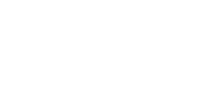 Lions & Tigers & Vows