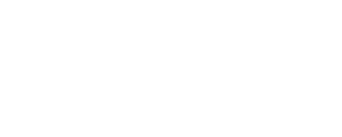 Lions & Tigers & Vows